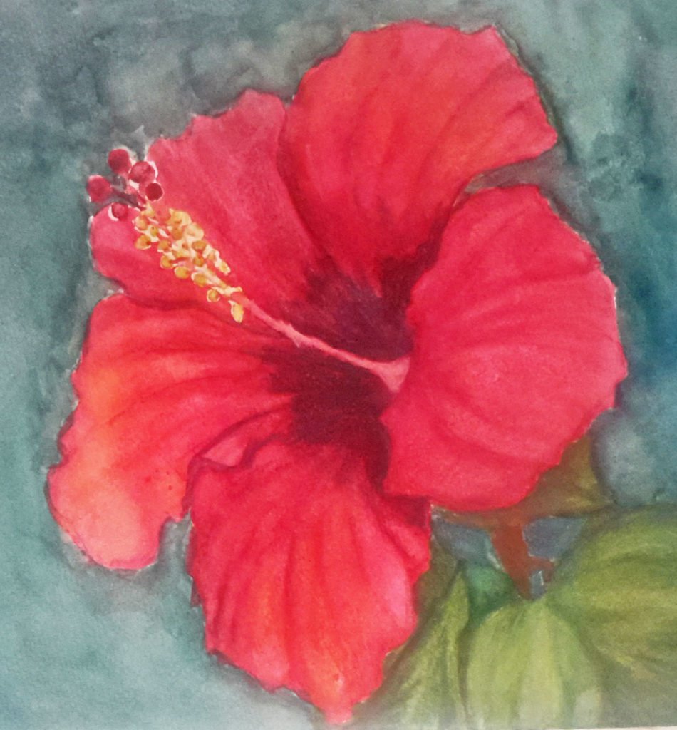 05.07.20-hibiscus
