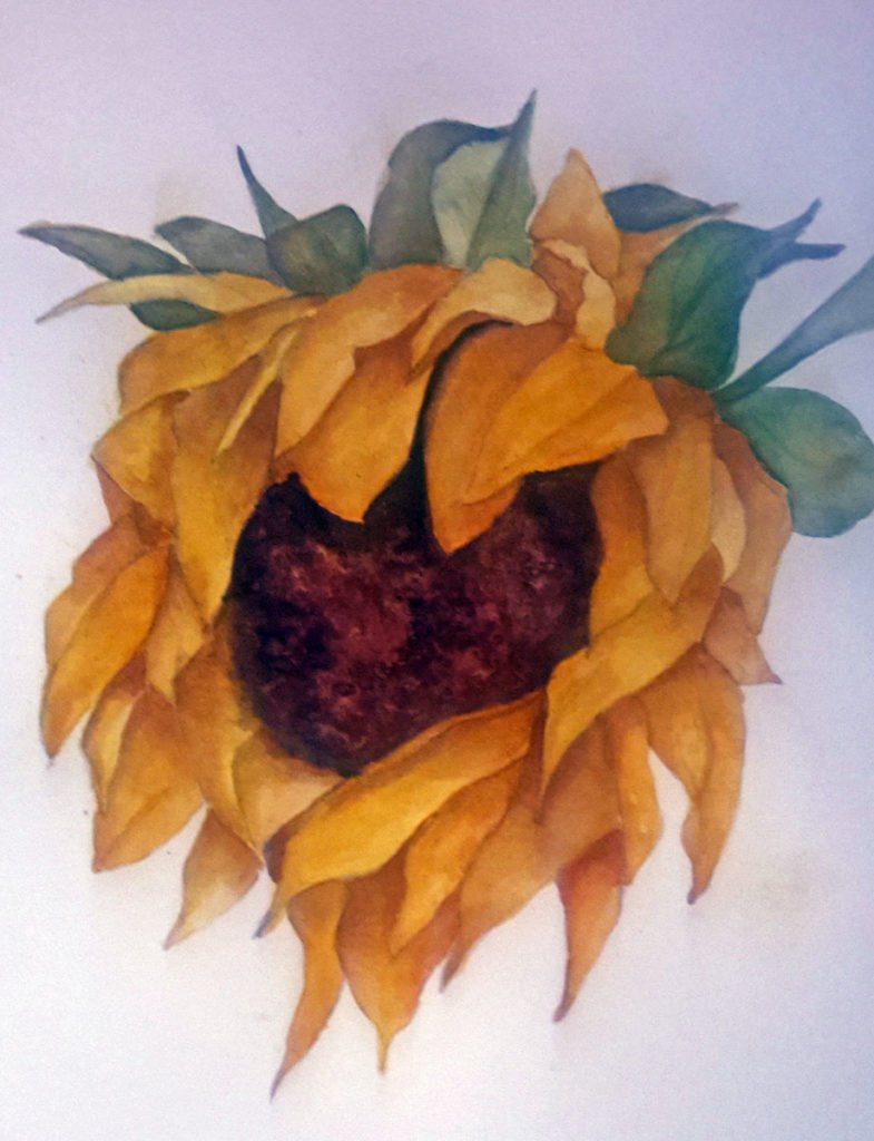 05.07.20-sunflower